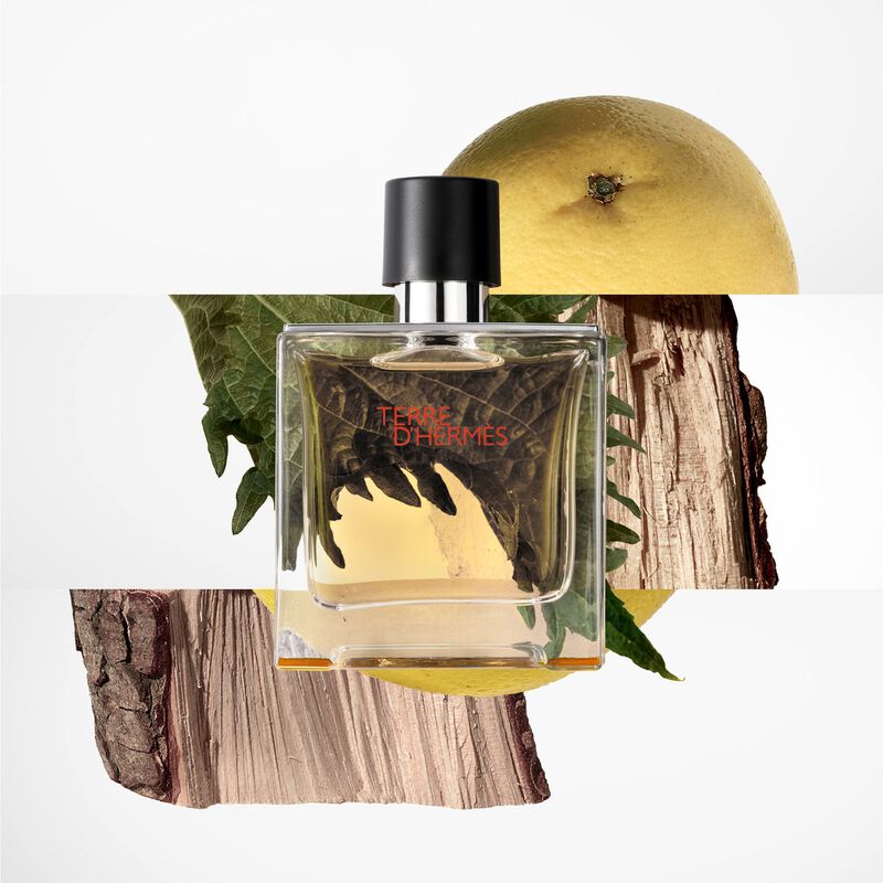 عطر هيرميس تير دى هيرمس بارفيوم 75 مل