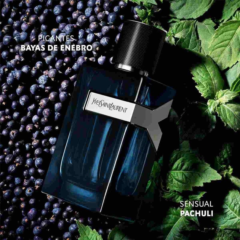 Yves Saint Laurent Y Intense EDP for Men 100ml