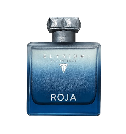 عطر روجا إليسيوم أوو إنتنس للرجال اودى بيرفيوم 100 مل
