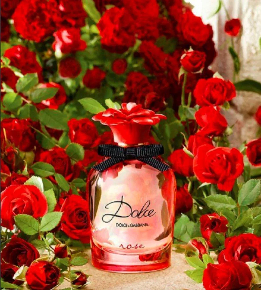 عطر دولتشى جابانا دولتشي روز اودى تواليت 75 مل