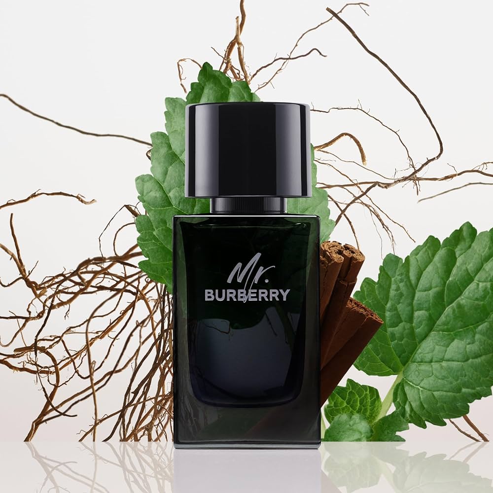 عطر مستر بربرى للرجال اودى بيرفيوم 100 مل