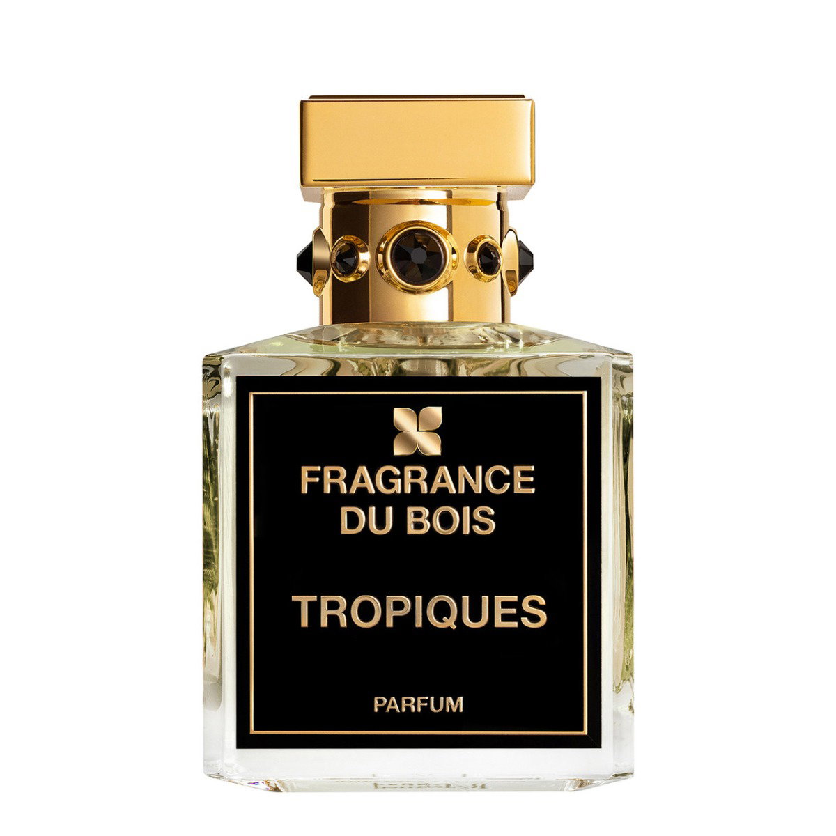 عطر فراغرانس دو بوا تروبيكس بارفيوم 100 مل