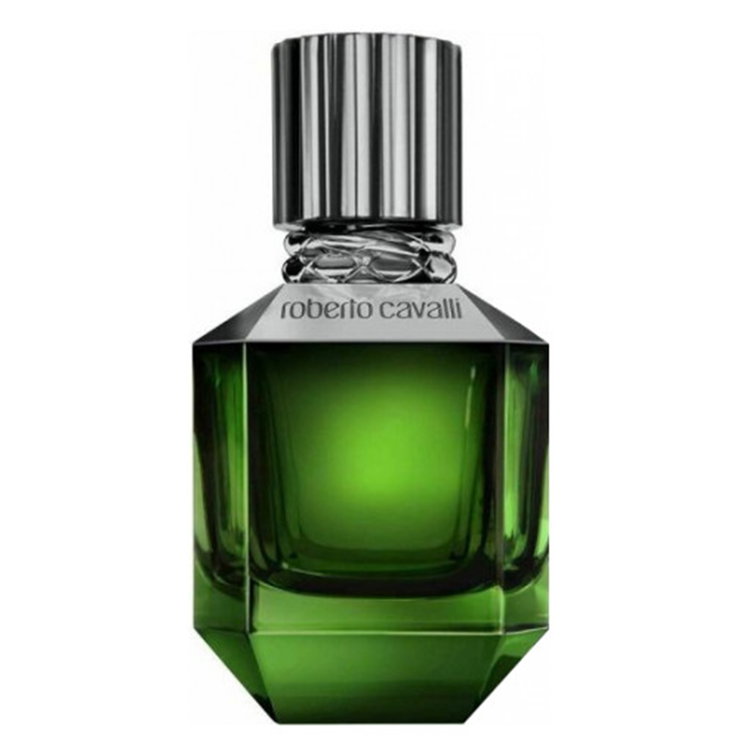 عطر روبيرتو كافالى براديسو فاوند للرجال اودى تواليت 50 مل