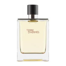 عطر تيرى دى هيرمس للرجال اودى تواليت 100 مل 