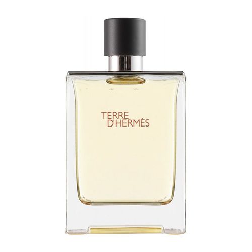 عطر تير دي هيرميس أو دو تواليت 100 مل للرجال
