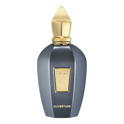 عطر زيرجوف اوفرتور اودى بيرفيوم 100 مل