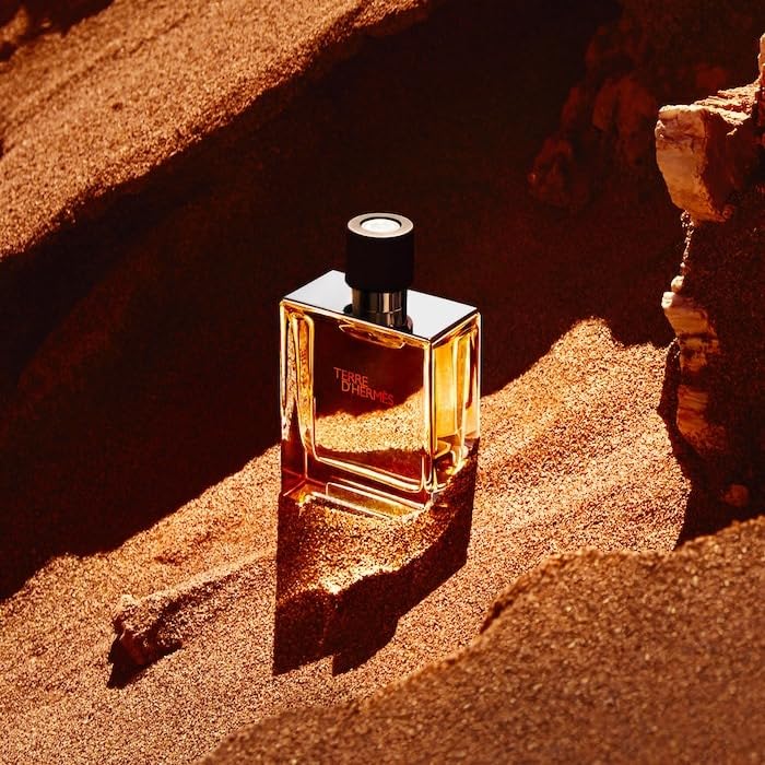 عطر تير دي هيرميس أو دو تواليت 100 مل للرجال