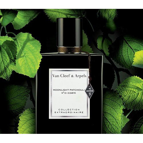 عطر فان كليف مونلايت باتشولى اودى بيرفيوم 75 مل