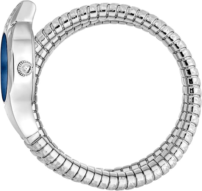 Just Cavalli Watch for Women stainless steel silver , Blue