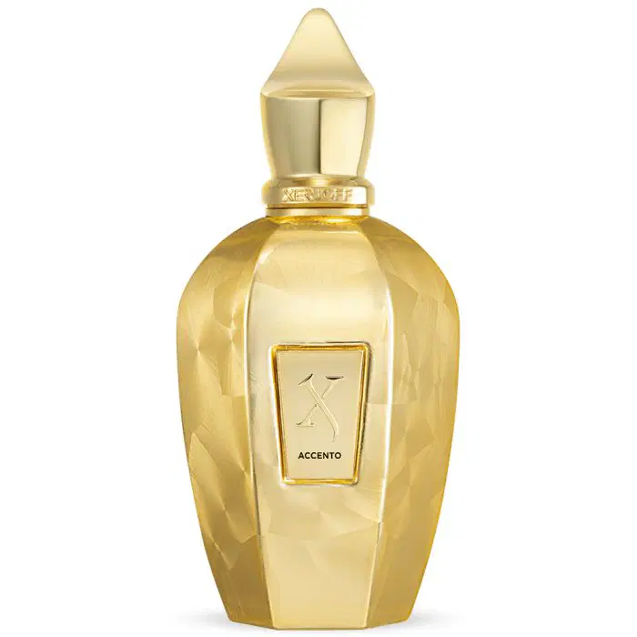 Xerjoff Accento Overdose EDP 100ML