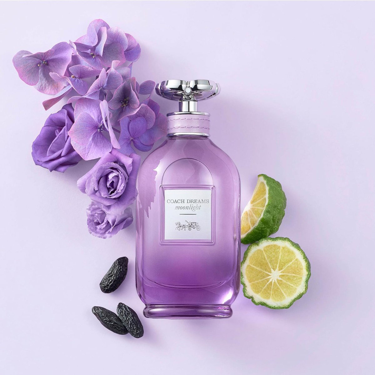 Coach Dreams Moonlight Eau de Parfum 90ml