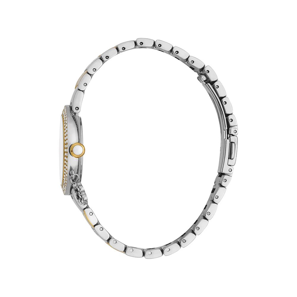 DICI Milano Quartz watch for ladies steel silver , Gold 