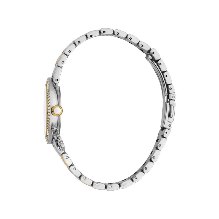 DICI Milano Quartz watch for ladies steel silver , Gold