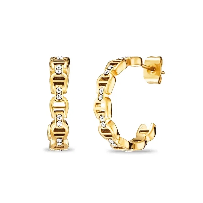 Aigner ALLEATA Ladies Gold Earrings with Crystal Detail