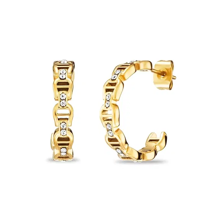 Aigner ALLEATA Ladies Gold Earrings with Crystal Detail