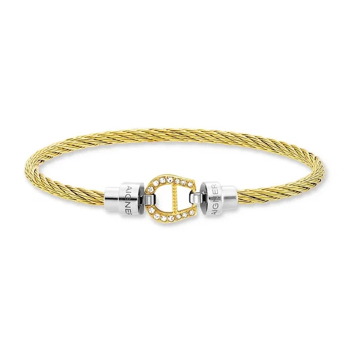 Aigner Alessandra Large Bangle Gold and Silver Women