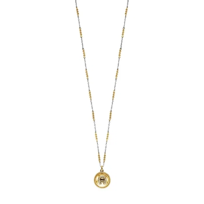 Aigner Carisa Short Necklace Silver and Gold Women