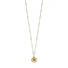 Aigner Carisa Short Necklace Silver and Gold Women