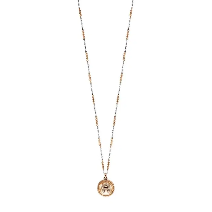 Aigner Carisa Short Necklace Rose Gold and Silver Women