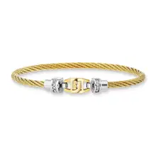 Aigner Ale Tre Large Bangle for Women Gold Two Tone Bracelet