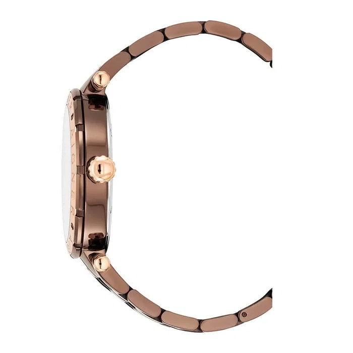 Aigner Vigevano Watch for Men Brown