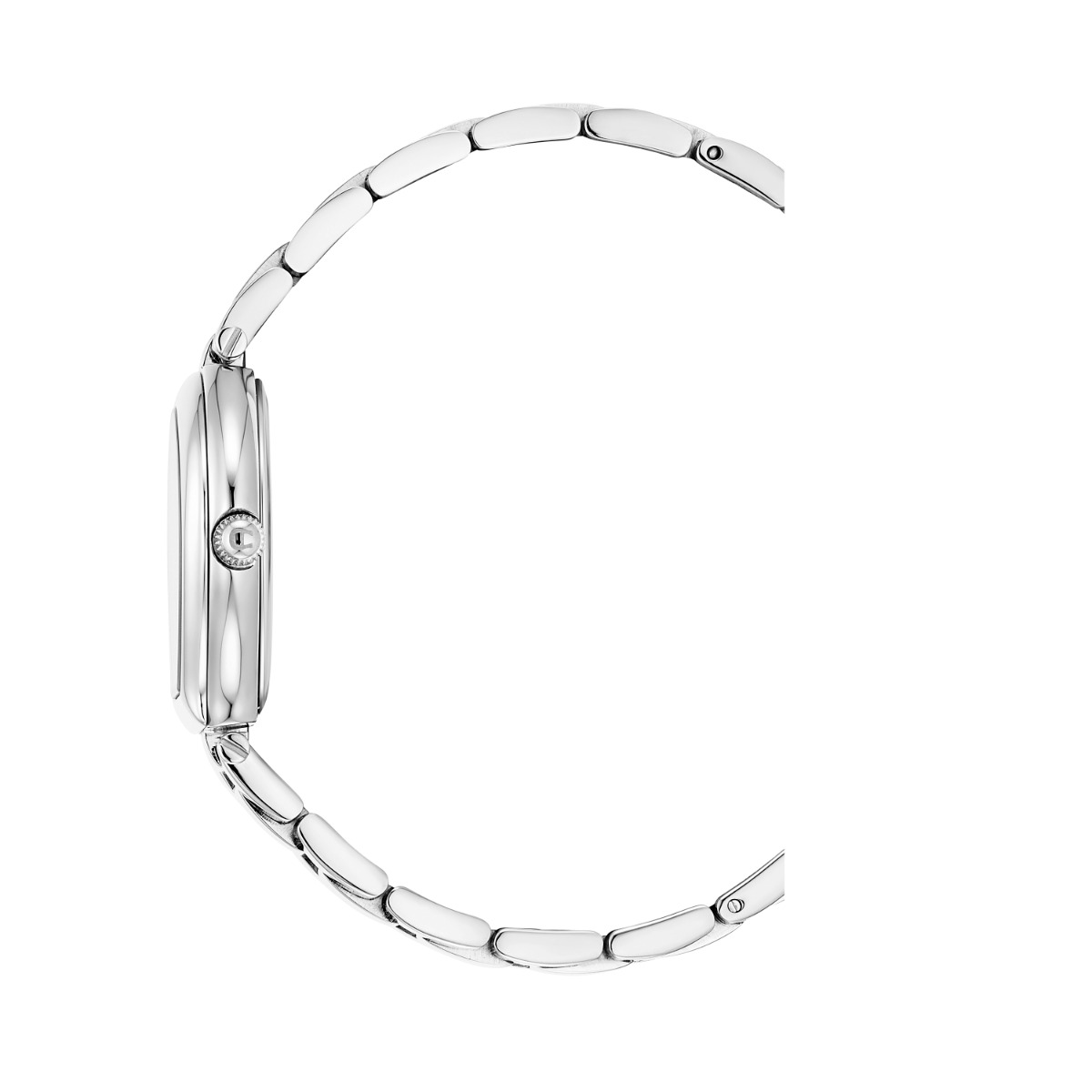 Aigner TRANI ladies watch stainless steel silver 