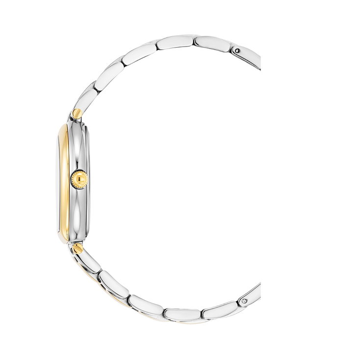 Aigner TRANI ladies watch stainless steel silver , Gold