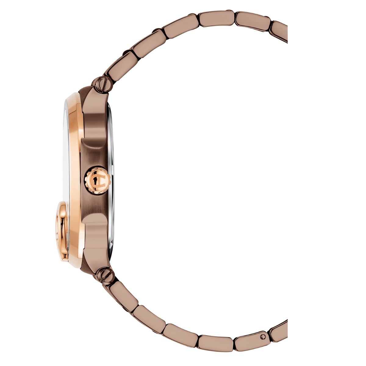 Aigner TAVIANO men watch stainless steel brown 