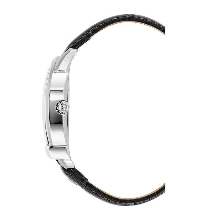 Aigner Siena Men’s Watch – Silver Case with Black Leather 