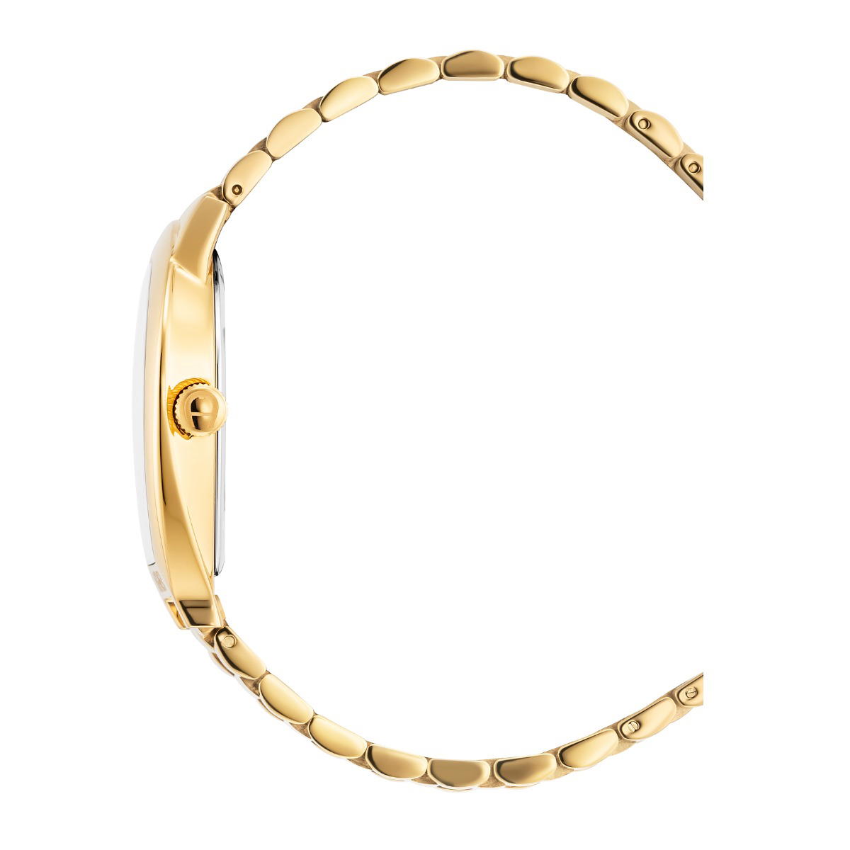 Aigner ROVIGO men watch stainless steel gold with white