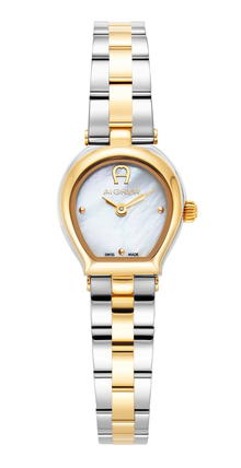Aigner TRANI ladies watch steel silver , Gold
