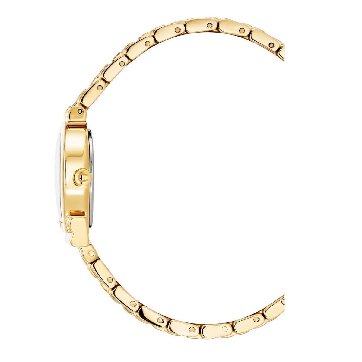 Aigner Tivoli Due Women Watch Gold Steel Blue Dial