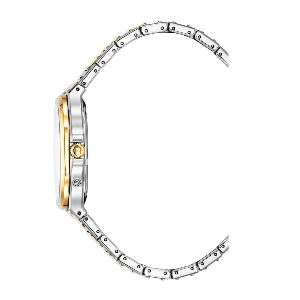 Aigner FERMO watch for men stainless steel silver , Gold