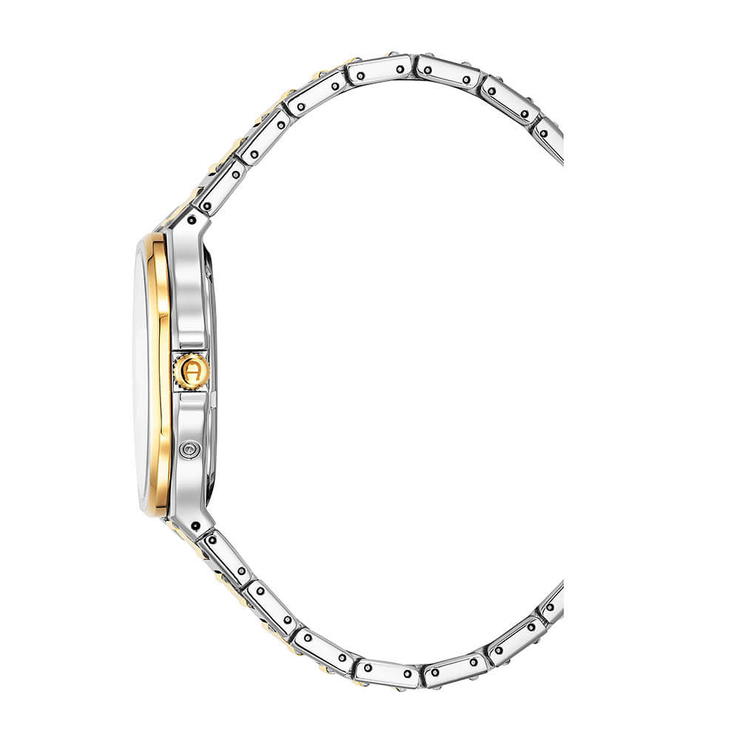 Aigner FERMO watch for men stainless steel silver , Gold