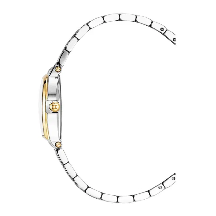 Aigner Dogna Ladies' Two-Tone Silver Dial watch