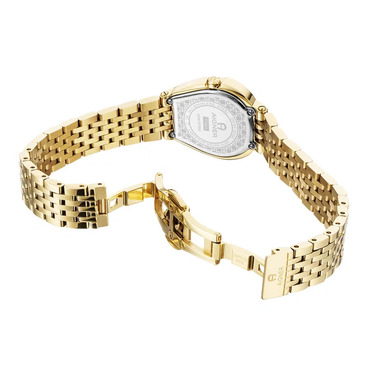 Aigner DOGNA watch for women steel gold , Green