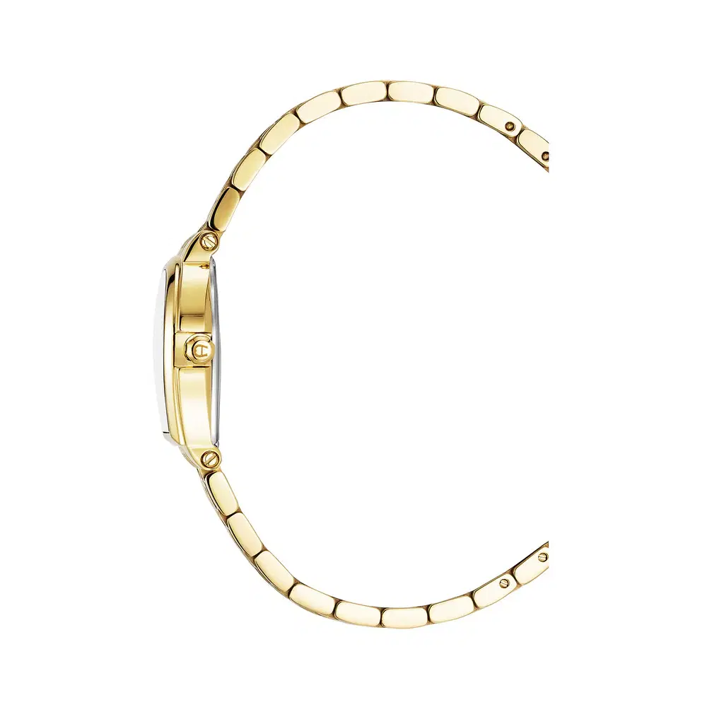 Aigner DOGNA watch for women steel gold , Green