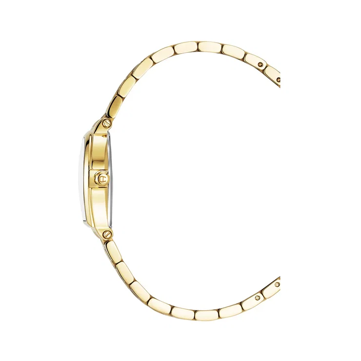 Aigner DOGNA watch for women steel gold , Green