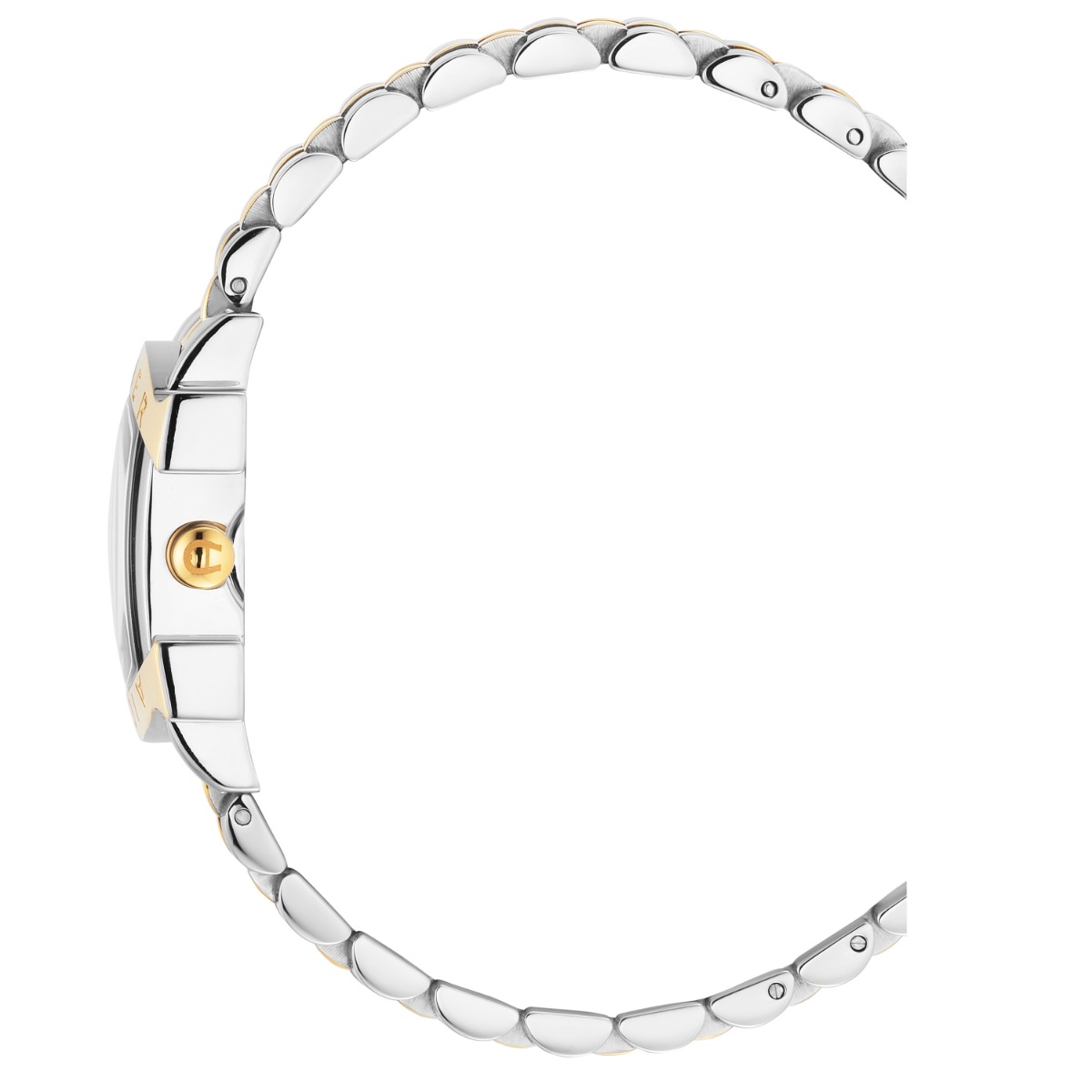 Aigner Massa Meno Ladies Two-Tone Watch
