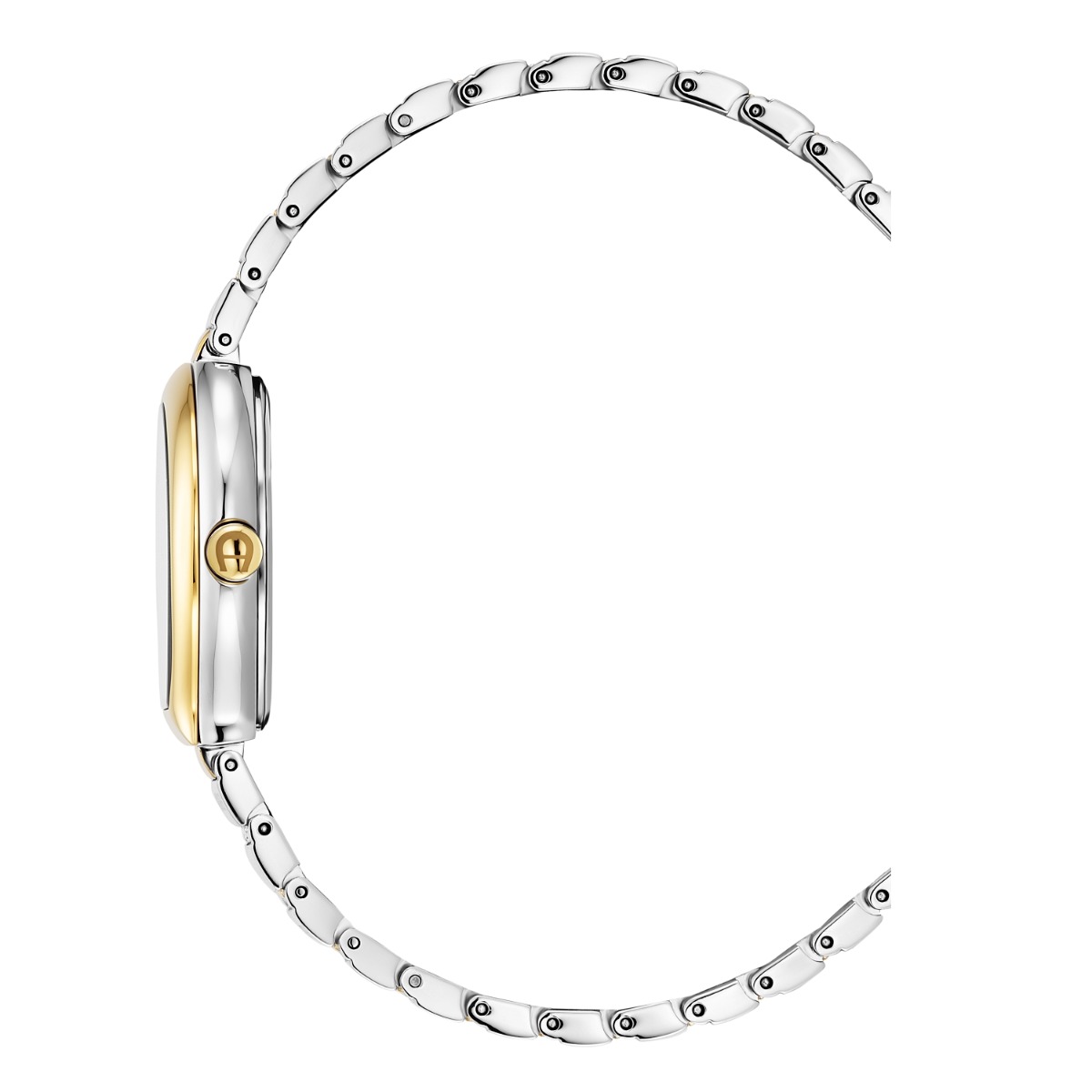 Aigner Genova Ladies Two-Tone Watch
