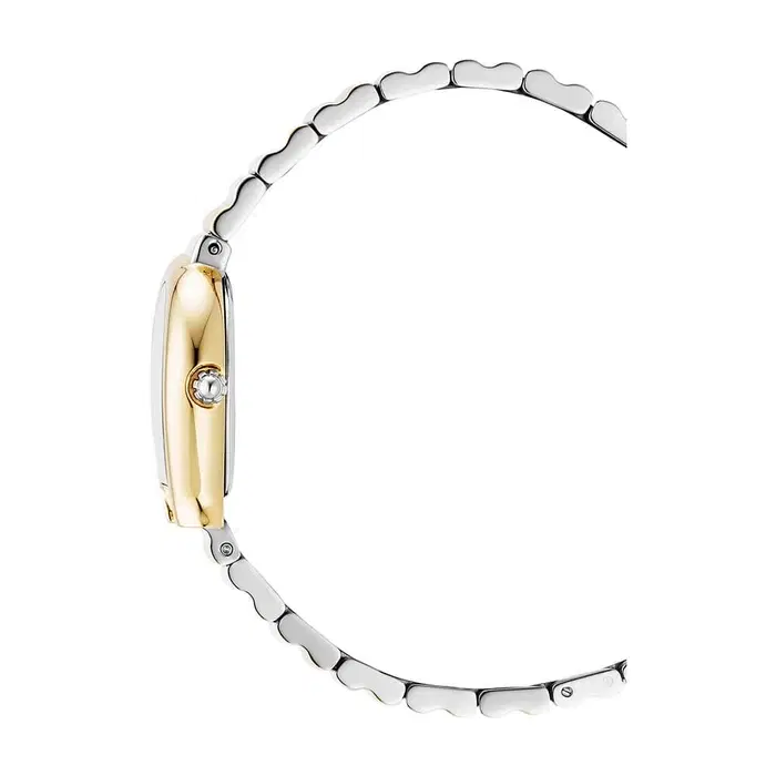 ساعة اجنر ايزرنيا نسائية بسوار ستانلس ستيل ثنائي اللون