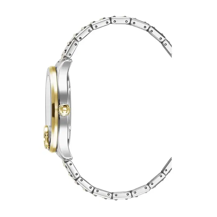 Aigner Torino Men Two Tone Stainless Steel Watch