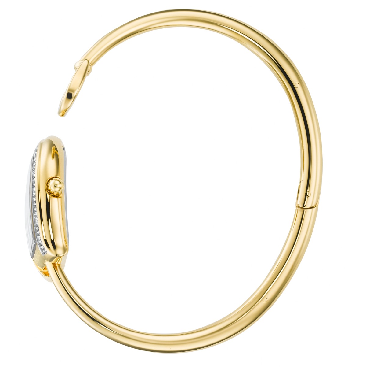 Aigner Flora Sasso Ladies Gold Watch