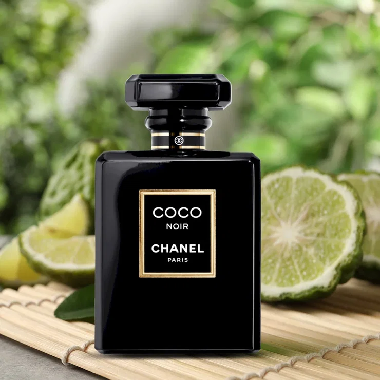 香水(ユニセックス) CHANEL COCO NOIR Eau de Parfum 100ml Chanel Coco Noir Eau De Parfum 100ml | Paris Gallery