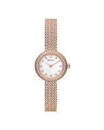 Emporio Armani Rosa watch for women steel rose gold 