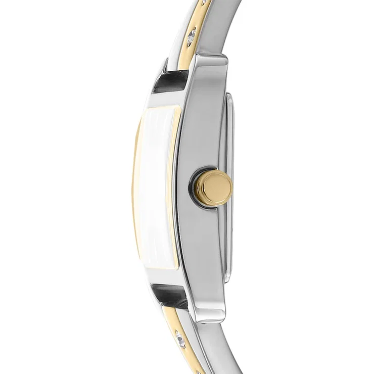DKNY Women’s Two-Tone Green Dial Crystal watch