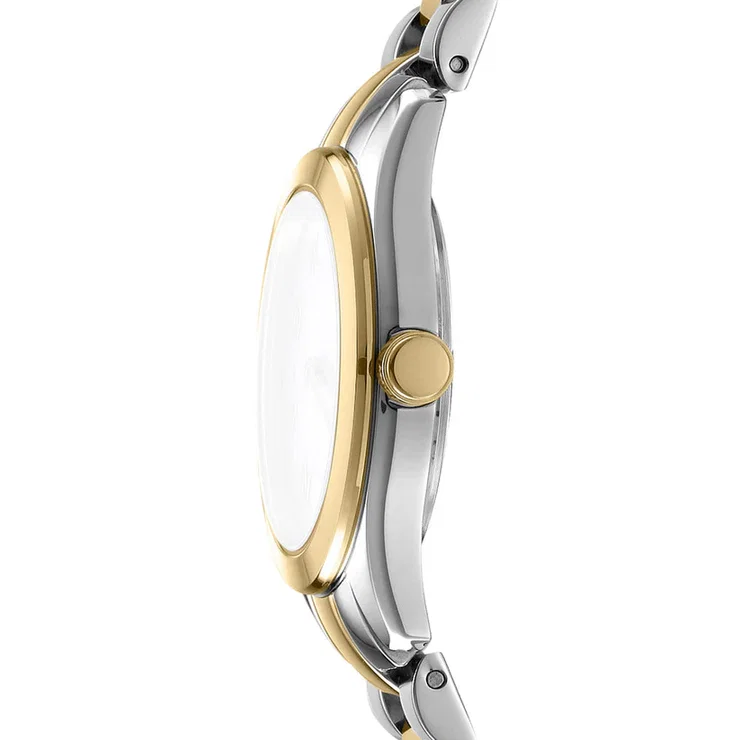 DKNY Two-Tone Women's Watch with Green Dial