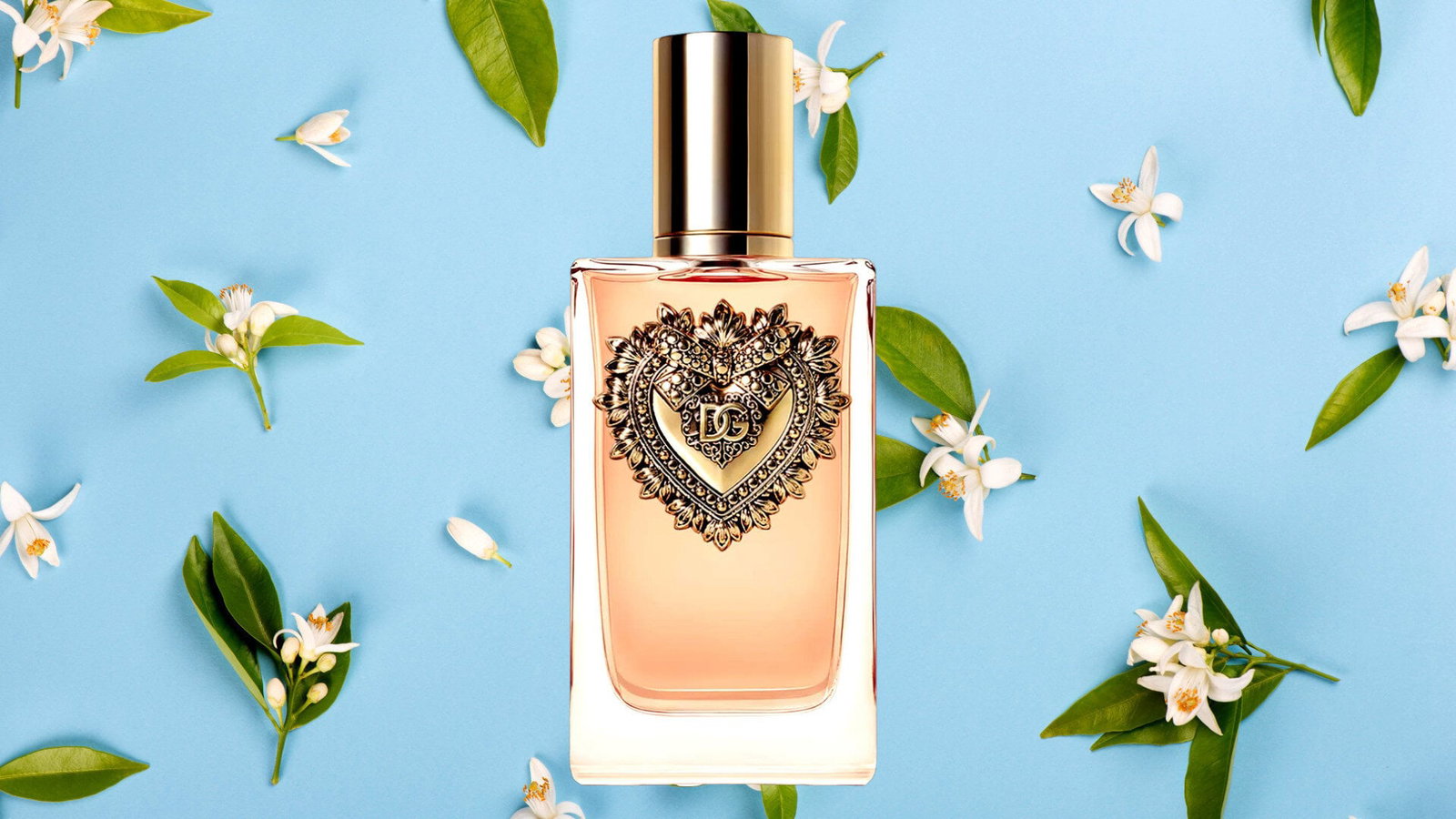 Dolce & Gabbana Devotion Women EDP 100ml | Paris Gallery