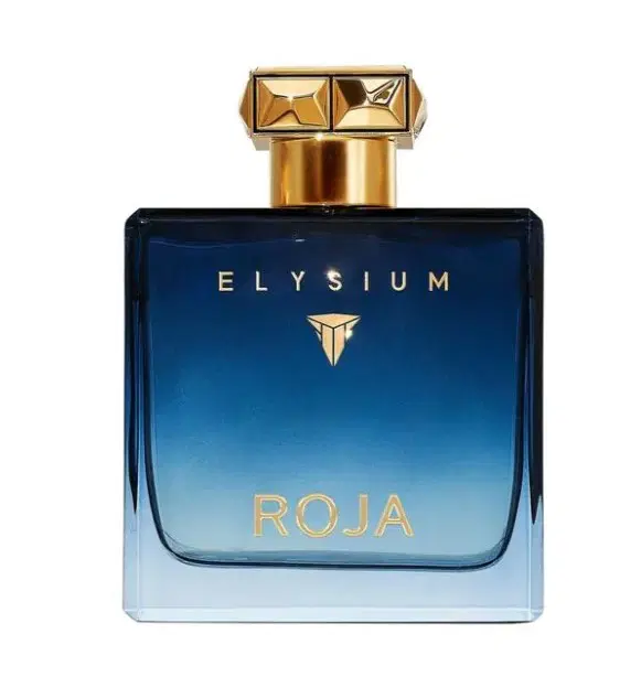 Roja Elysium Pour Homme Eau de Parfum 100ml