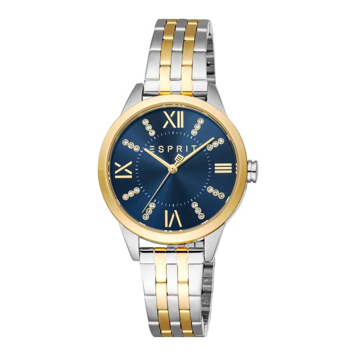 Esprit Pointy ladies Quartz watch stainless steel gold , Blue